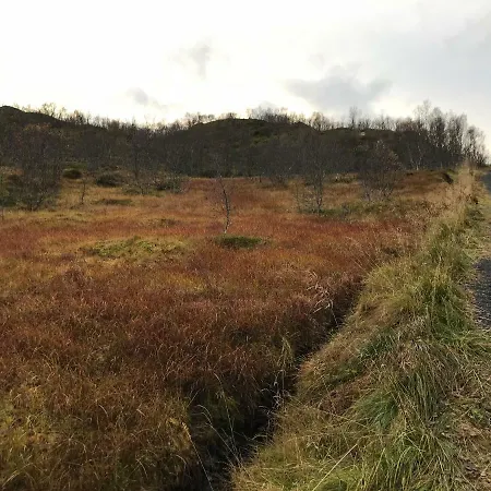 160 Year Old Log - Sea Views Straumsjoen